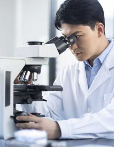 企業(yè)官網_網站建設案例—武漢盛世互聯(lián)